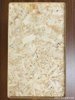 專家解讀，大咖坐鎮！曲美家居首發零甲醛添加原木結構板，加拿大OSB板革新家居環保標準